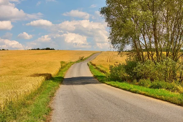 Weg door landbouwgrond — Stockfoto