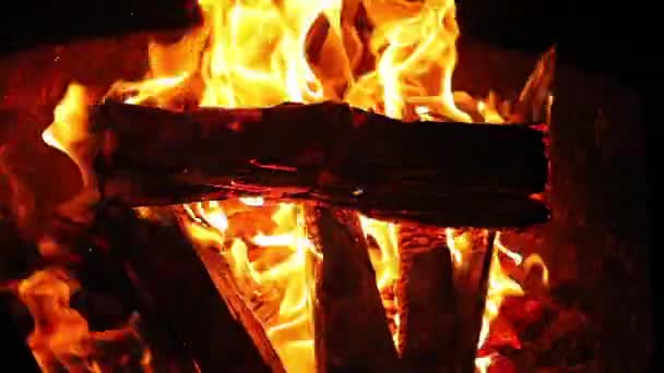 Lagerfeuer lodert in Nahaufnahme — Stockvideo
