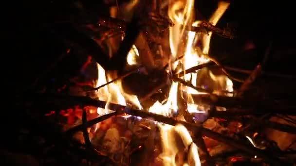 Campfire flames slow motion — Stock Video