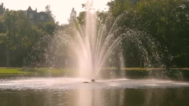 Fountain in a park — Stock Video