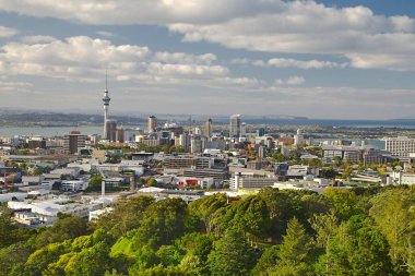 Auckland Manzarası
