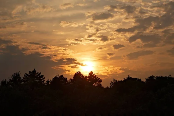 Sunset over trees — Stock Photo, Image