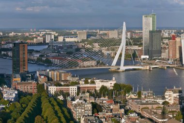 Rotterdam panoramik görünümü