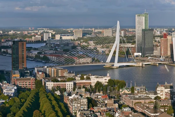 Rotterdam panoramik görünümü