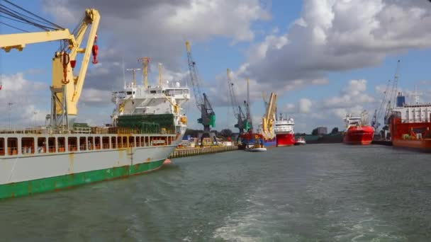 Statki przemysłowe w dokach — Wideo stockowe