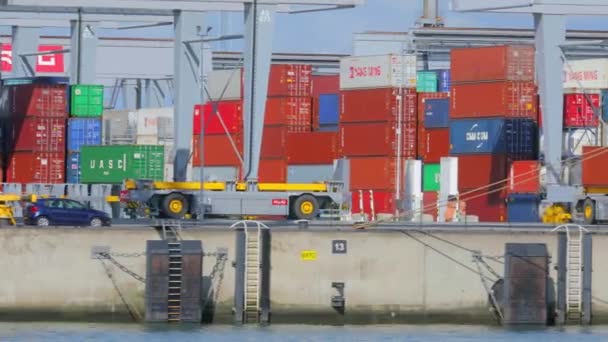 RWG container terminal Rotterdam — Stock Video