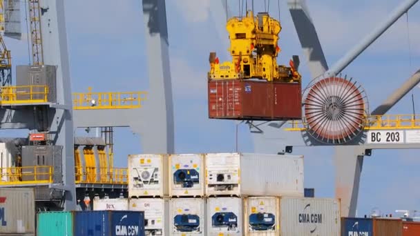 Rwg контейнерного терміналу в Роттердамі — стокове відео