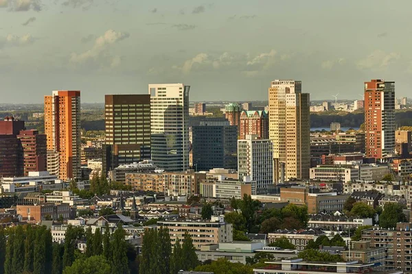 Rotterdamský panoramatický výhled — Stock fotografie