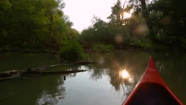 Kanotpaddling på en flod — Stockvideo