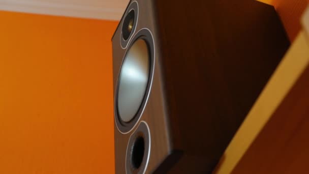 Hi-Fi Loudpeaker membran — Stok video