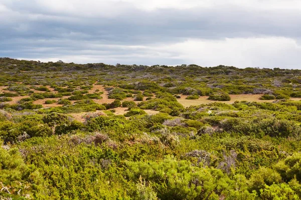 Krajobraz w Tasmanii — Zdjęcie stockowe