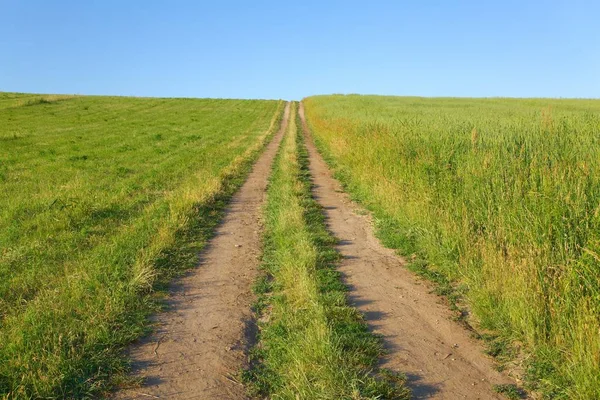 Dirtroad through a field — Stock Photo, Image