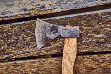 Islak plakalar axe