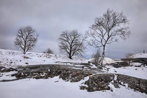 Winter Park Landscape — Stock Photo, Image