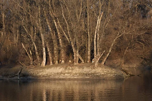 Paesaggio autunnale sul lago — Foto Stock