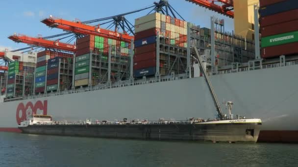 Enorme containerschip — Stockvideo