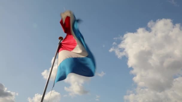 Nederländsk flagg viftande — Stockvideo
