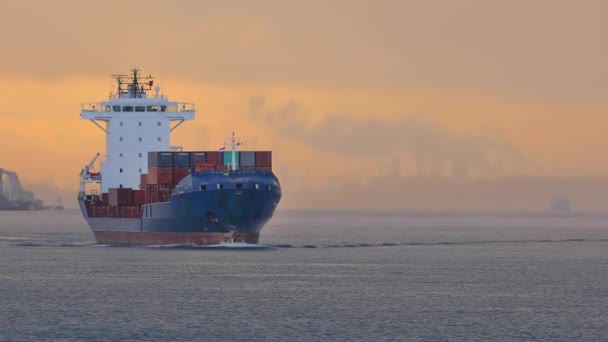 Rotterdam 'da konteynır taşıyan gemi. — Stok video