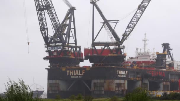 Heerema Hermod w Rotterdamie — Wideo stockowe