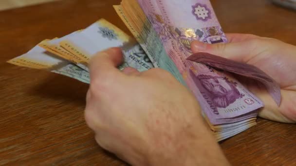 Tellen van geld, Hongaarse forinten — Stockvideo