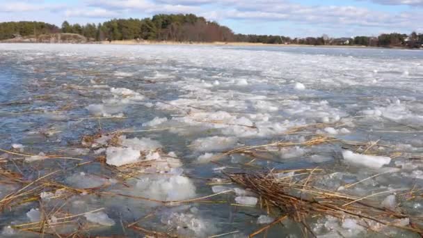 Eisdecken auf dem Wasser — Stockvideo