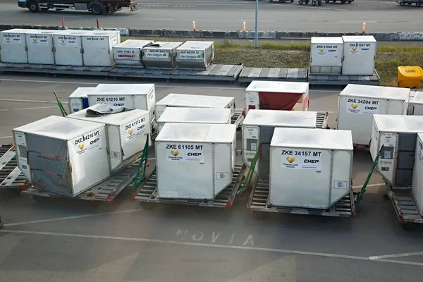 空运货物集装箱 — 图库照片