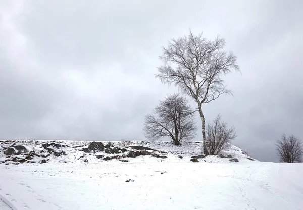Winterparklandschaft — Stockfoto
