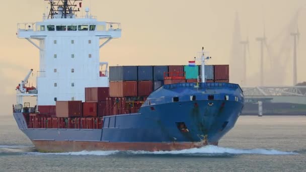 Rotterdam 'da konteynır taşıyan gemi. — Stok video