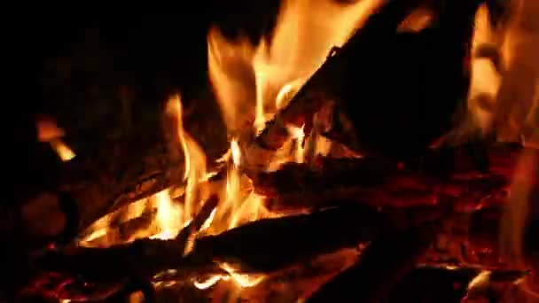 Flammes de feu de camp 