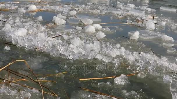 Eisdecken auf dem Wasser — Stockvideo