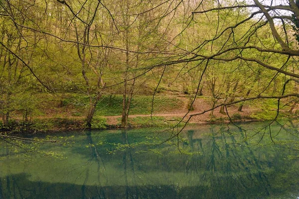 Petit lac avec arbres — Photo