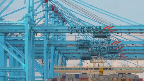 Cargo Containers stapelen — Stockvideo