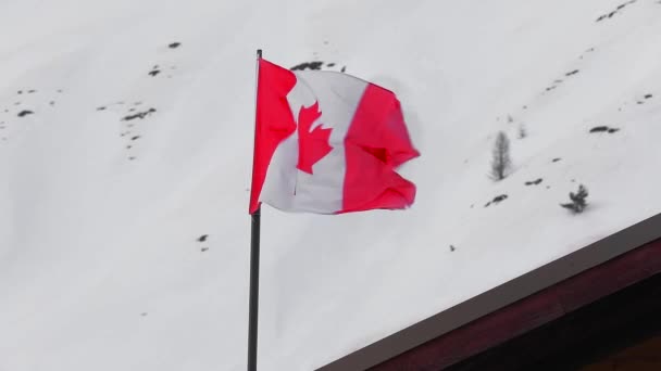 Bandera canadiense ondeando — Vídeo de stock