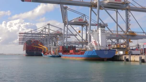 RWG container terminal in Rotterdam — Stock Video