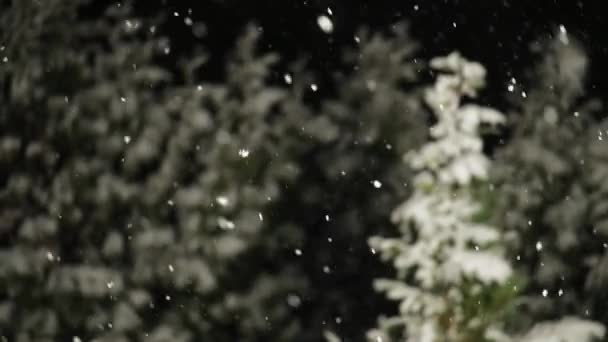 Vallende sneeuw 's nachts — Stockvideo