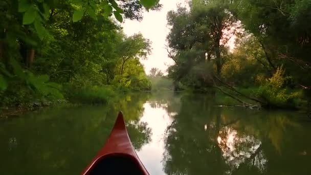 Каноэ на реке — стоковое видео