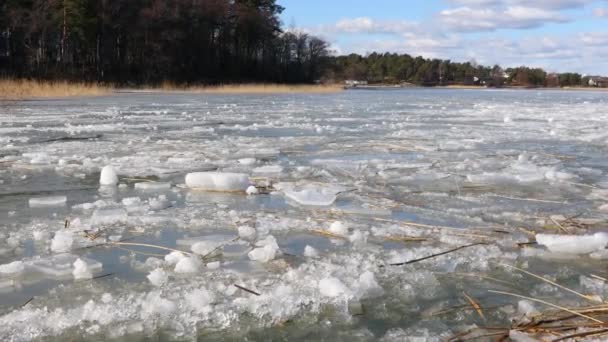 Capas de gelo na água — Vídeo de Stock