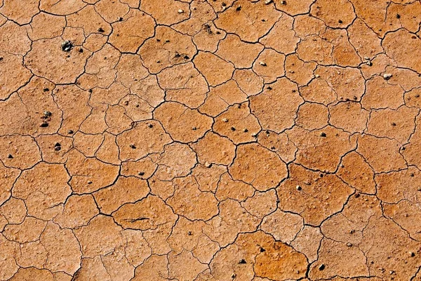 Dry Soil Texture — Stock Photo, Image