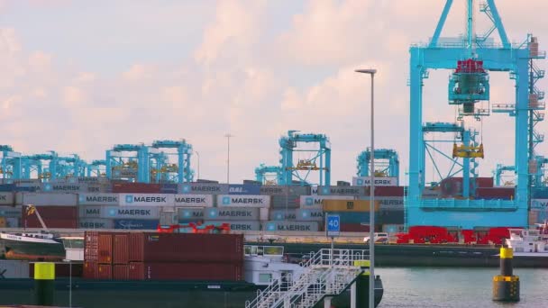 Frachtcontainer stapeln — Stockvideo