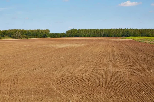 茶色の土と Agircutural フィールド — ストック写真