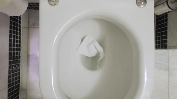 Spoelen in het toilet — Stockvideo
