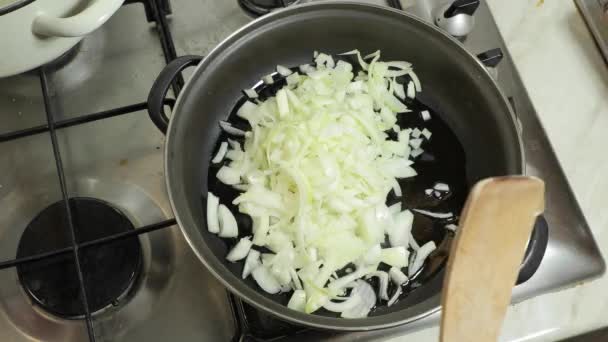 Matlagning vegetabiliska Lecho — Stockvideo