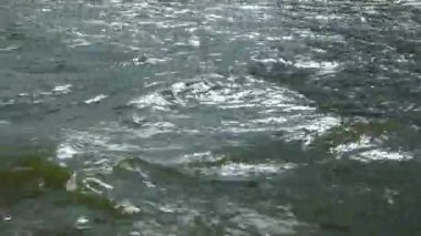 Dalgalanan Su Yüzeyi