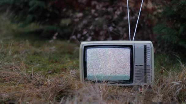 TV geen signaal in gras — Stockvideo