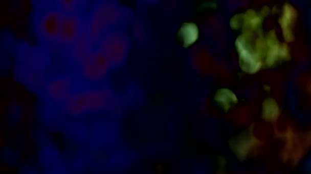 抽象等离子体背景 — 图库视频影像
