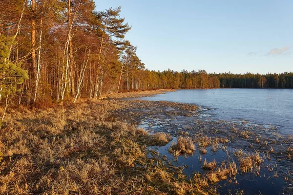 Nad jeziorem w Finlandii — Zdjęcie stockowe