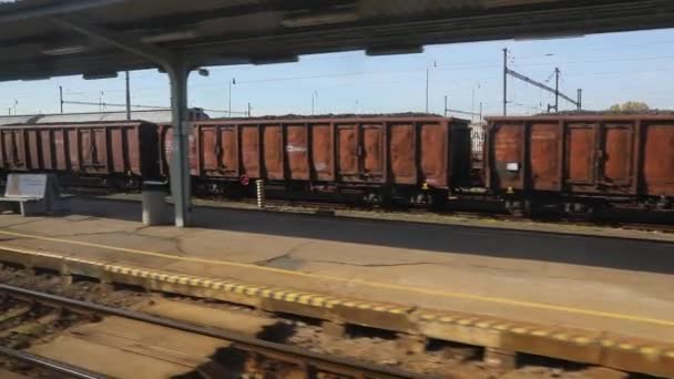 Train journey window view — Stock Video