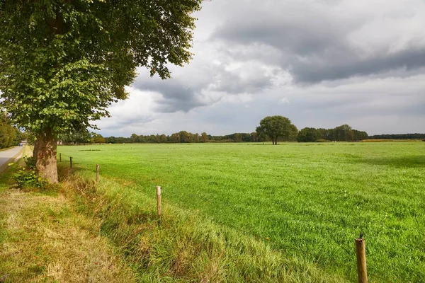 Agircutural landschap op een vlakte — Stockfoto