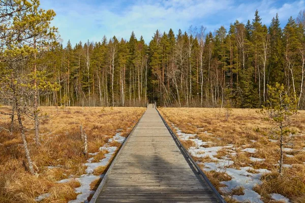 Bagna w Finlandii — Zdjęcie stockowe