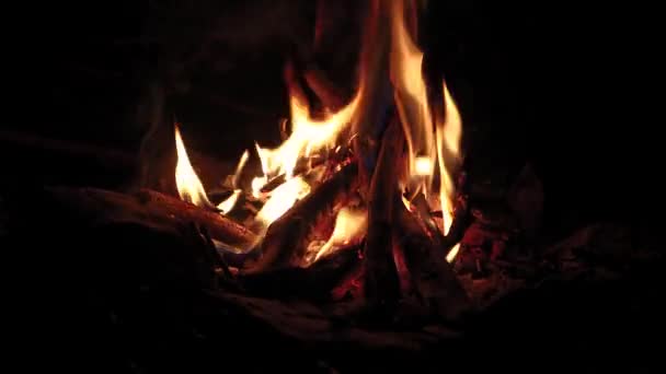 Lagerfeuerflammen — Stockvideo